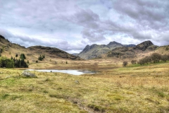 Lake-district-Canvas-Print-080 The Langdales from Blea Tarn