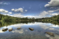 Lake-district-Canvas-Print-104 Tarn Hows