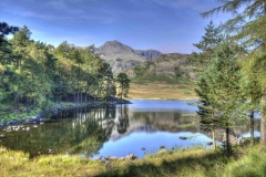 Lake-district-Canvas-Print-127 Blea Tarn