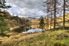 Lake-district-Canvas-Print-172 Blea Tarn and The Langdales