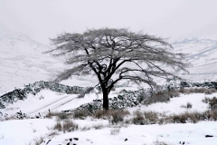 Lake-district-Canvas-Print-179 Winter on the Kirkstone Pass