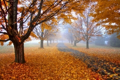 Lake-district-Canvas-Print-190 Autumn at Keswick