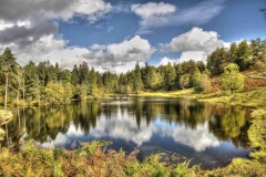 Lake-district-Canvas-Print-201 Tarn Hows