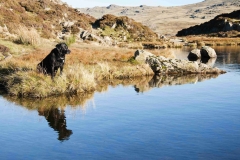 Lake-district-Canvas-Print-211 Reflections in Inominate Tarn