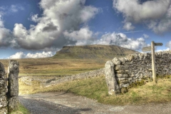 Dales-Canvas-Print-036