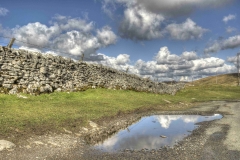 Dales-Canvas-Print-037