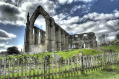 Dales-Canvas-Print-048