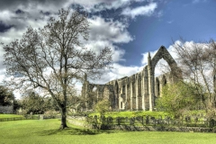 Dales-Canvas-Print-051