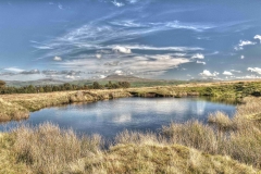 Dales-Canvas-Print-053