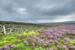 Dales-Canvas-Print-130