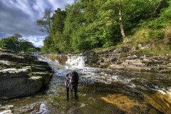 Dales-Canvas-Print-139