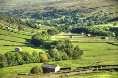 Dales-Canvas-Print-147