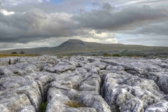 Dales-Canvas-Print-152