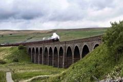 Dales-Canvas-Print-194