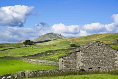 Dales-Canvas-Print-208